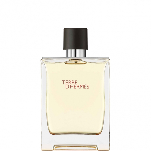 Terre D'Hermes Eau de Toilette