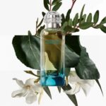 Hermès Un Jardin en Mediterranee