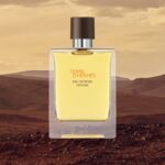 Terre d'Hermès Eau Intense Vetiver
