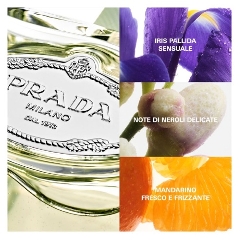 Prada Les Infusions Iris